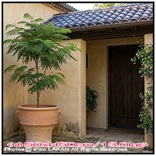 輸入 テラコッタ鉢 ルバーキ 松尾貿易 