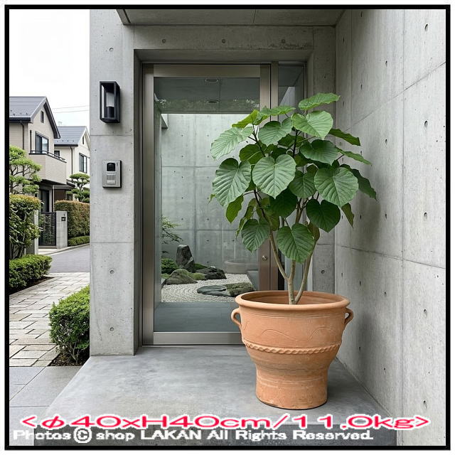 輸入 テラコッタ鉢 ルバーキ 素焼き鉢 