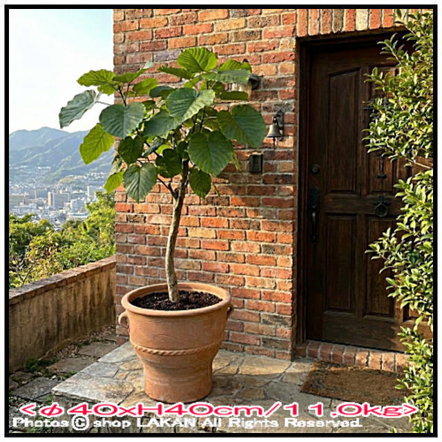 素朴 輸入 テラコッタ鉢 クレタ島 