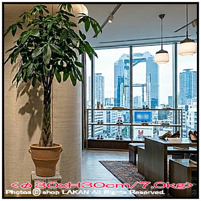 輸入 テラコッタ鉢 ルバーキ 素焼き鉢 