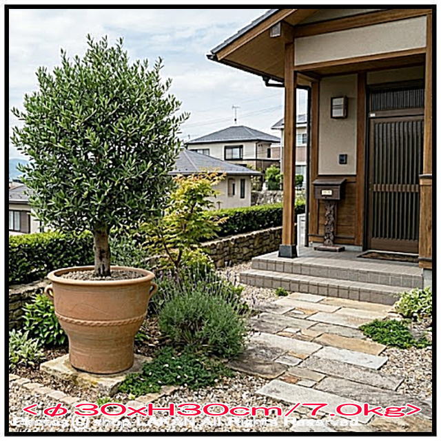 素朴 輸入 テラコッタ鉢 クレタ島