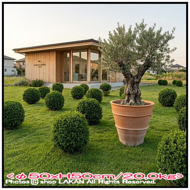 素焼き鉢 ギリシア 松尾貿易 クレタ島 