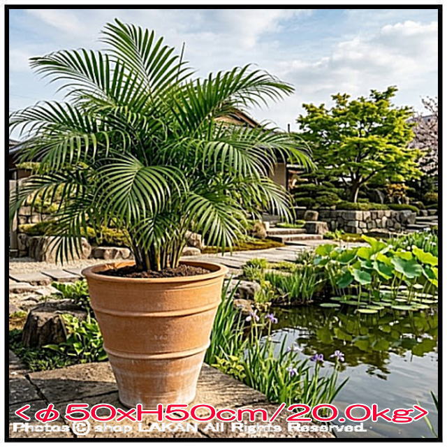 素焼き鉢 ギリシア 松尾貿易 クレタ島 