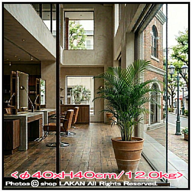 モナホ 素焼き鉢 すり鉢型 クレタ島 