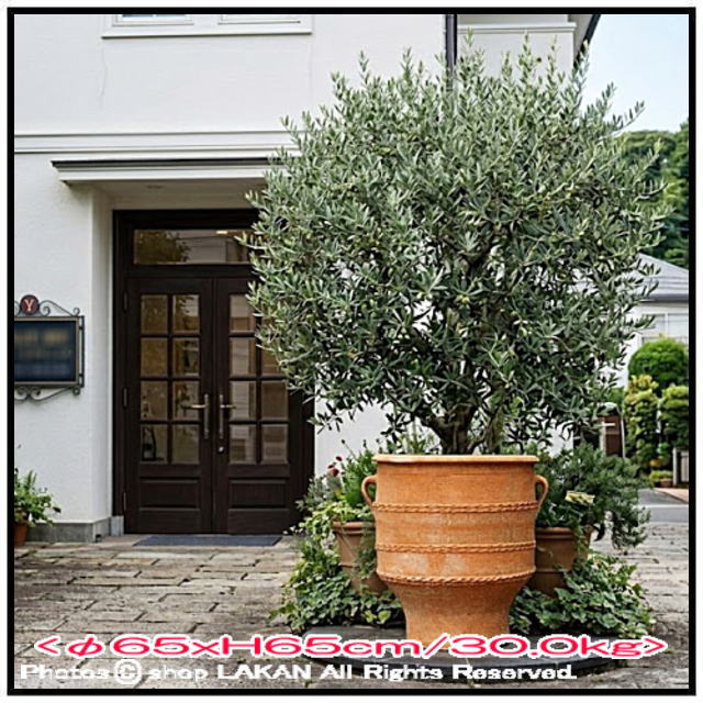 素焼き鉢 ギリシア 松尾貿易 クレタ島 