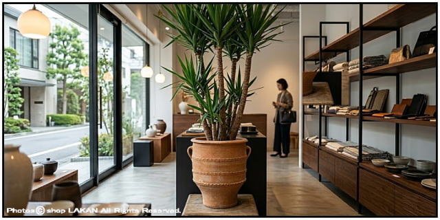 グラストラ 大型植木鉢 クレタ島 テラコッタ製 