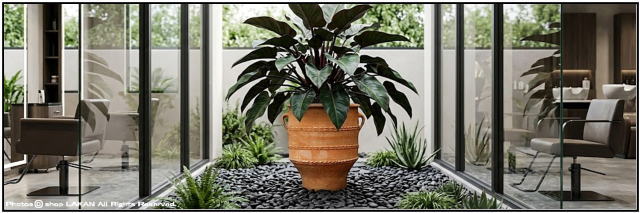 グラストラ 素焼き鉢 大型鉢 クレタ島 