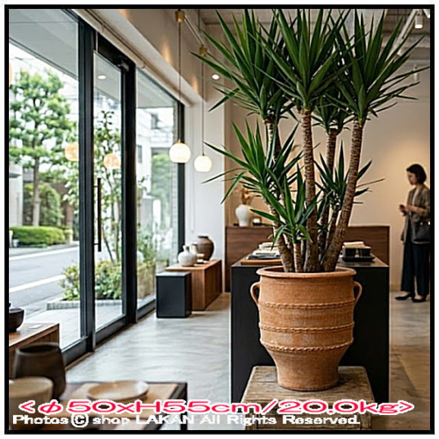 素焼き鉢 素朴 クレタ島 オブジェ 大型壺 