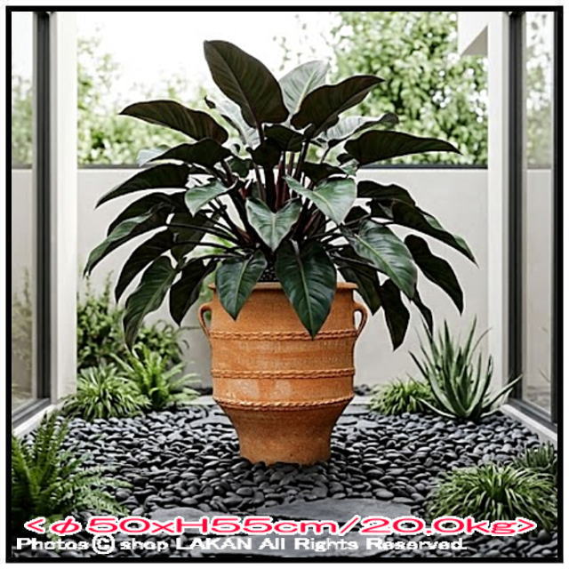 輸入 テラコッタ鉢 グラストラ 松尾貿易 