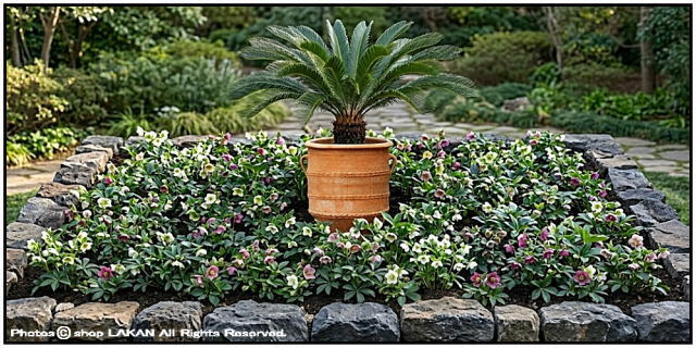 素焼き鉢 オブジェ クレタ島 アンティーク調 