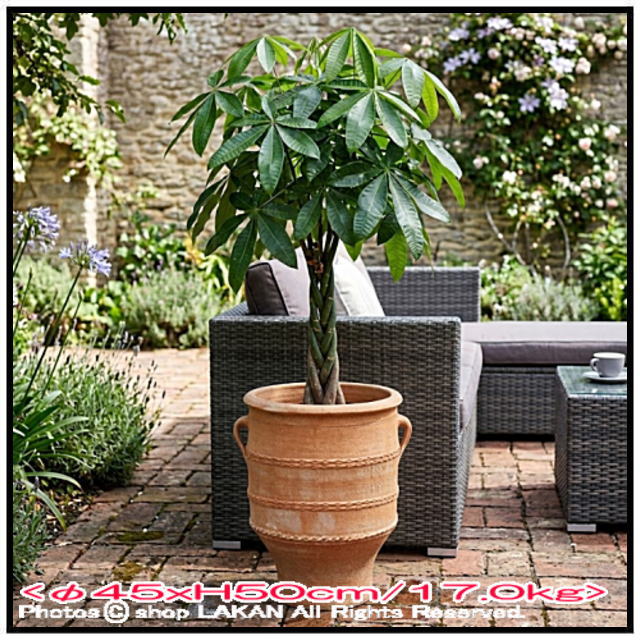 輸入 テラコッタ鉢 グラストラ 松尾貿易 