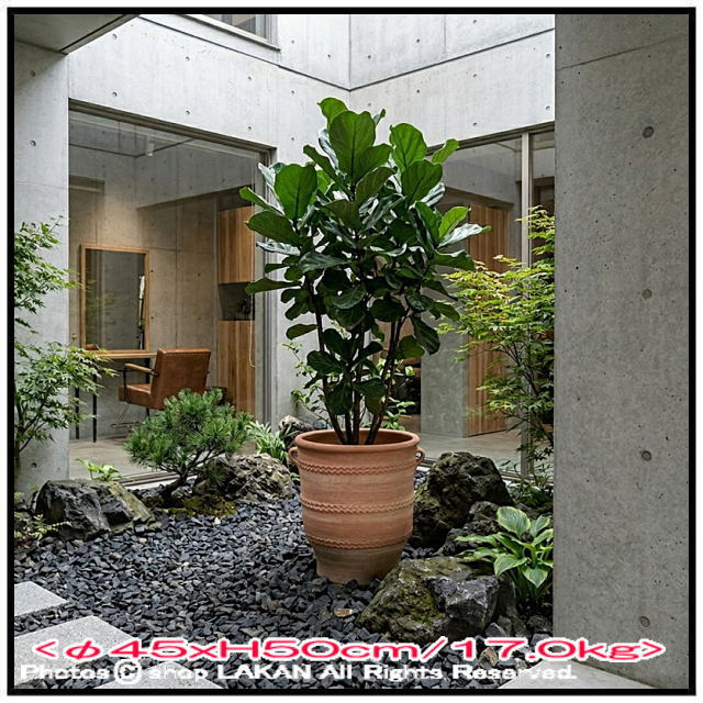 輸入 テラコッタ鉢 グラストラ 松尾貿易 