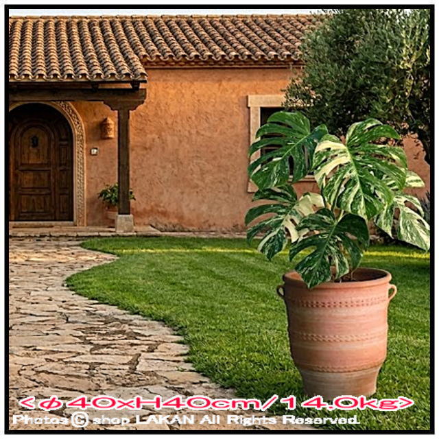 ハンドメイド 素朴 ギリシア テラコッタ鉢 