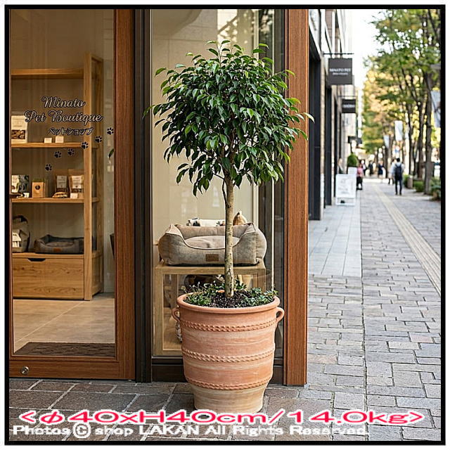 輸入 テラコッタ鉢 グラストラ 