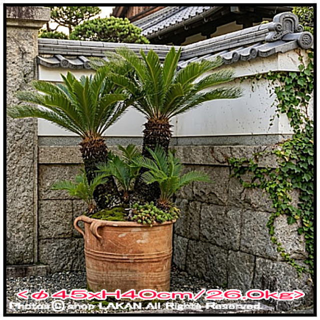 GR_CC22A ギリシア 手作り 植木鉢 壺