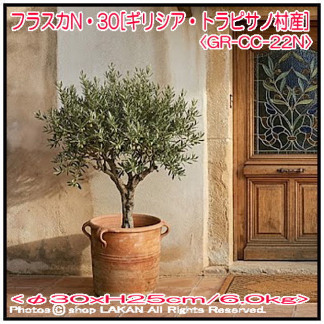 テラコッタ鉢 フラスカ 素朴 通気性 