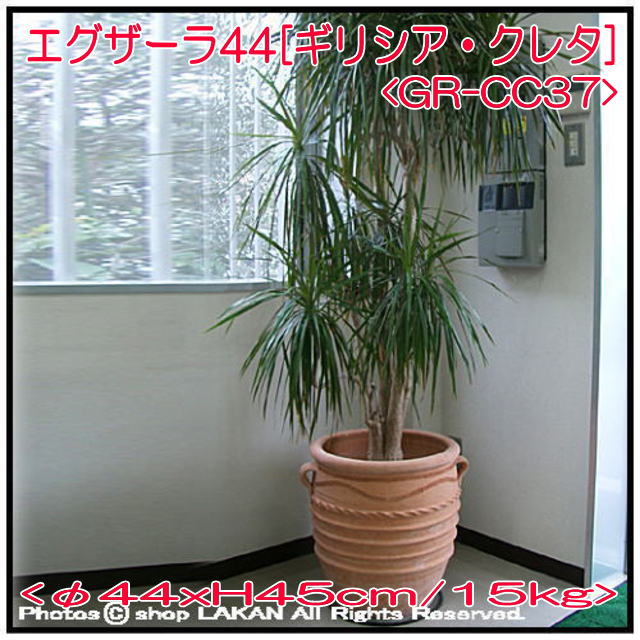 輸入 テラコッタ製植木鉢 エグザーラ 