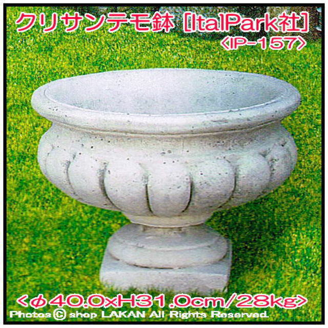 花鉢 クリサンテモ 石造 カップ型 