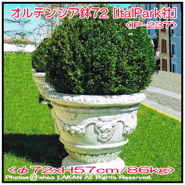 花鉢 オルテンシア 石造 バケツ型 