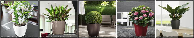 クラシコ レチューザ 丸型 小型 底面灌水 