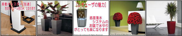 レチューザ キュービコ30 底面潅水 