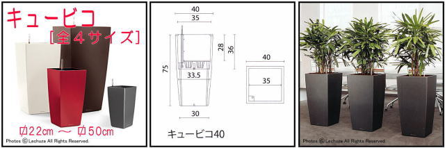 エレガント ライナー 鏡面仕上げ 豪華 