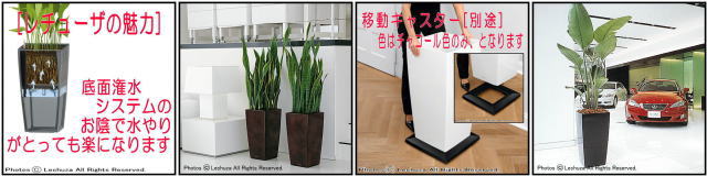 レチューザ キュービコ40 底面潅水 