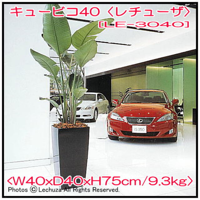 高級感 洗練 丸味 円錐状 