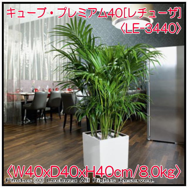 高級 光沢 ショップ インテリア 