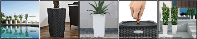 コテージ30 レチューザ 角型 トール 底面灌水 