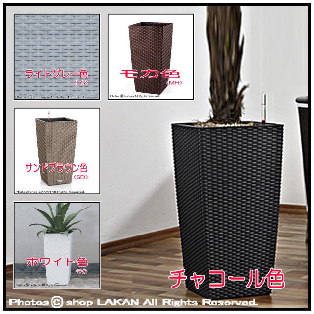 インテリア 底面灌水 背高 光沢 プレイモビル社 