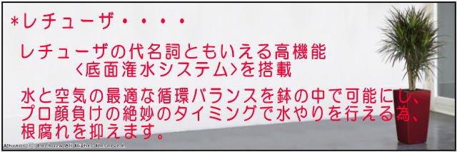 インテリア 底面灌水 背高 光沢 プレイモビル社 