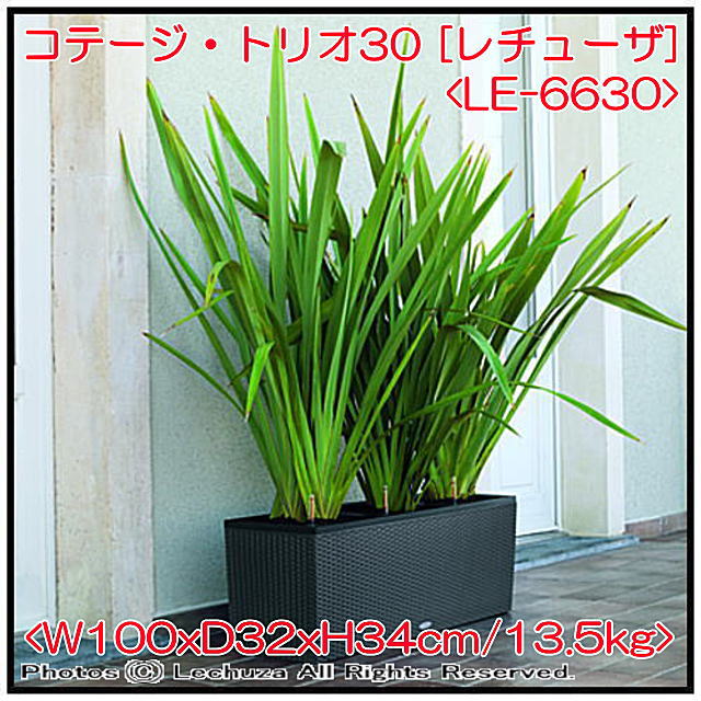 高級 光沢 ショップ 網目 インテリア 