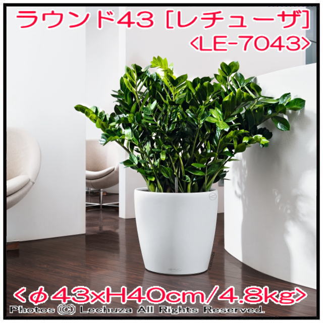 高級感 艶無 エレガント インテリア プレイモビル社 