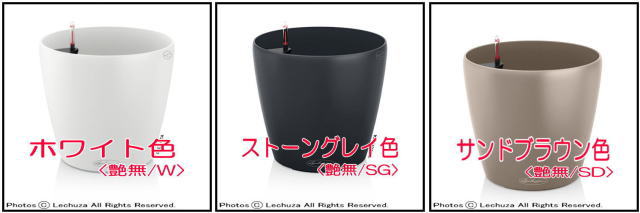 ラウンド レチューザ 丸型 底面灌水 