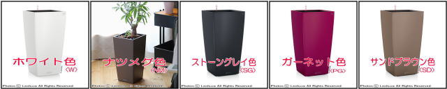 コラム レチューザ 角型 底面灌水 