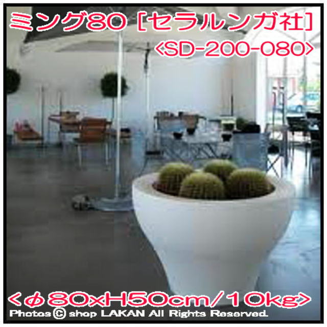 大型 イタリア製 樹脂鉢 ポリエチレン樹脂製 