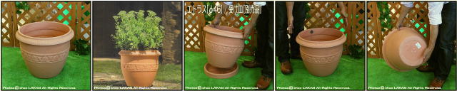 大型樹脂鉢　エトラス樹脂鉢　素焼き風　ユーロ３社　クラシックデザイン　輸入樹脂植木鉢　オブジェ　樹脂プランター　