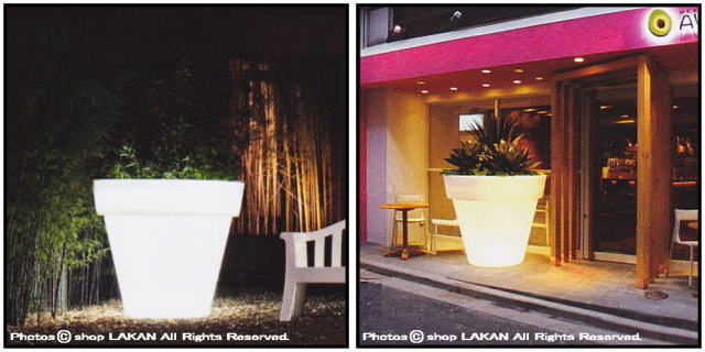 バスワン照明付鉢 ライト付 デザイナーズ セラルンガ 