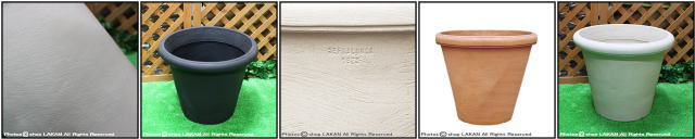 ガーデンプランター 樹脂製植木鉢 クラシックデザイン カメリアポット 