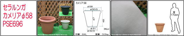 ガーデンプランター　樹脂製植木鉢　クラシックデザイン　カメリアポット　セラルンガ　普遍人気　ポリエチレン樹脂　