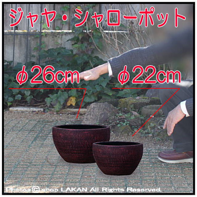 釉薬付陶器鉢 シャロー26 輸入植木鉢