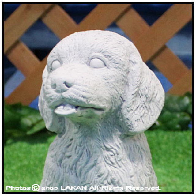 動物 重厚 子犬 石造 高級感