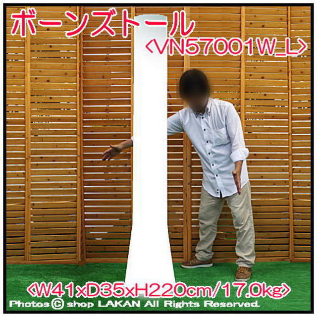 ボンドム 照明付輸入鉢 ボーンズ・ライト VN57001W_L 