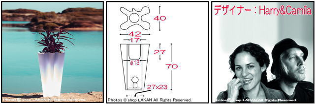 デザイナーズ鉢 ハリー＆カミラ ボンドム 松尾貿易 