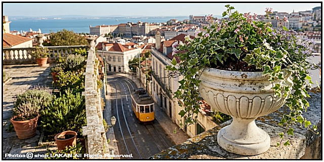 洋風庭園 カップ型 花鉢 VR-069800 
